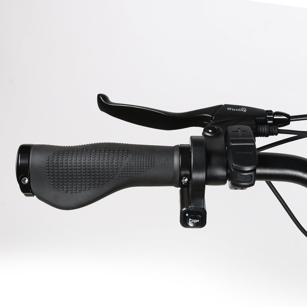 SAMEBIKE RS-A01