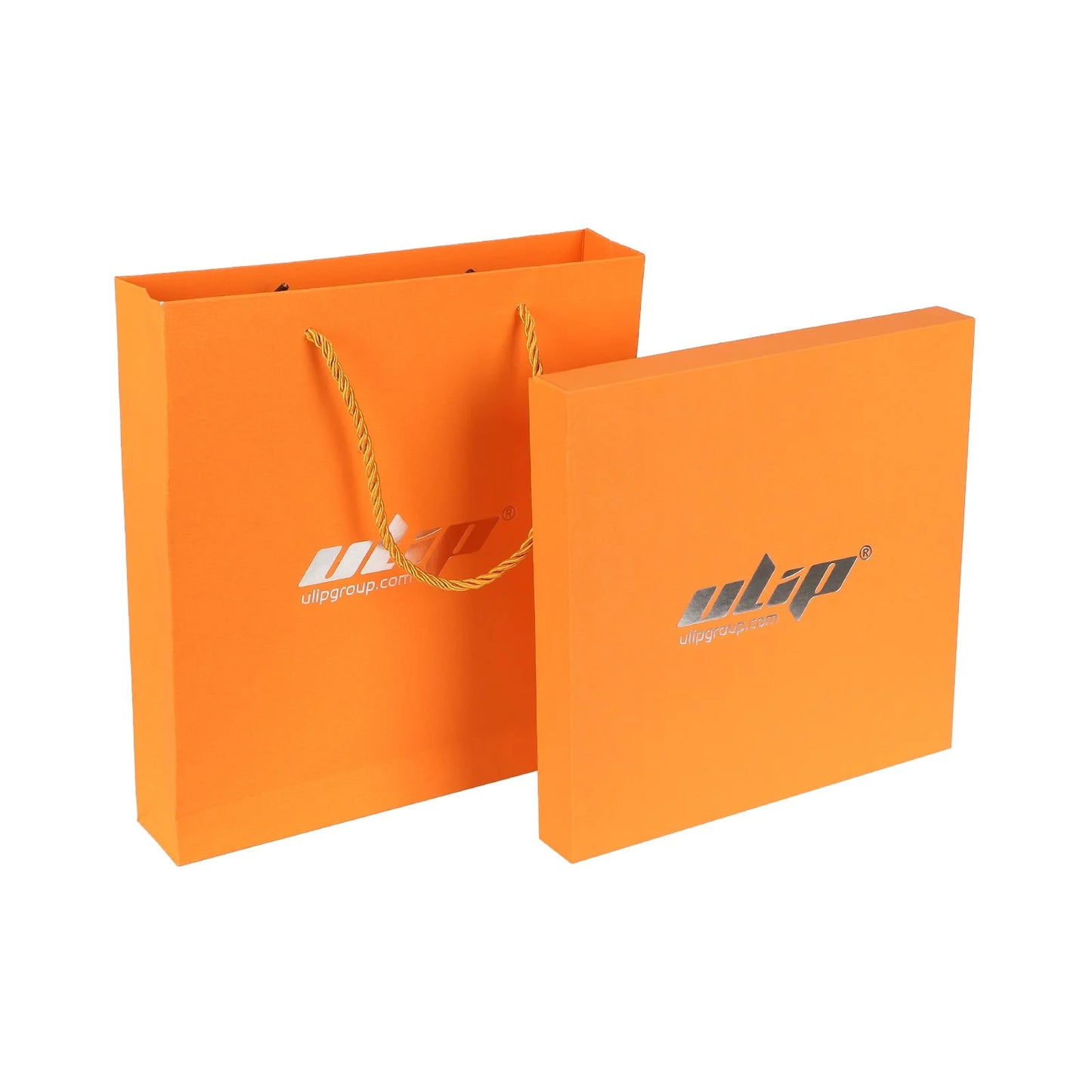 Ulip set carnet