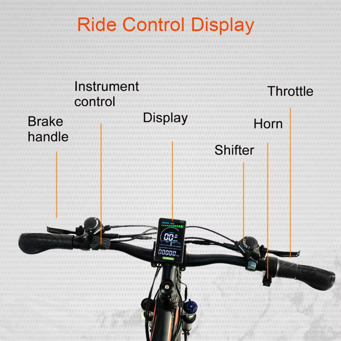 RANRIDE LD-YS9