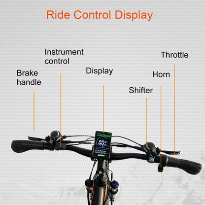 RANRIDE LD-YS9