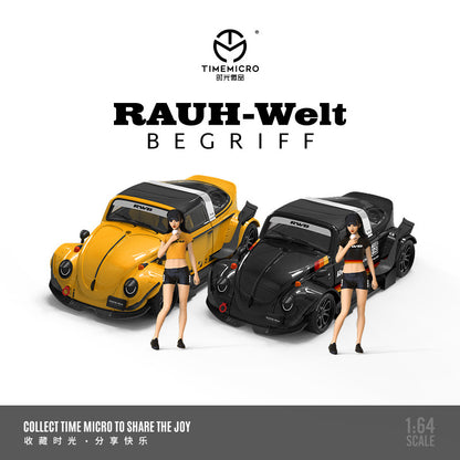 TimeMicro1 : 64 RWB Beetle Plain Simulation Modèle de voiture en alliage