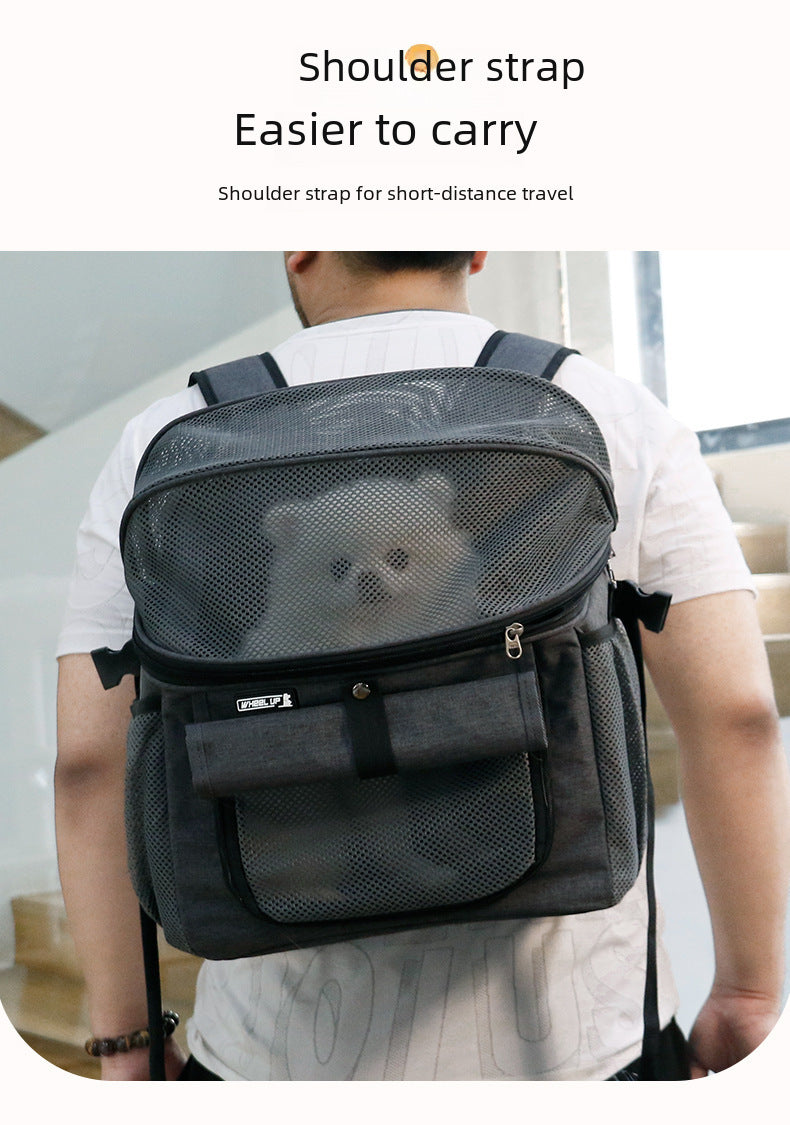 Sac de voiture à dégagement rapide pour animaux de compagnie, sac pour chat, sac à dos, sac spatial, fournitures pour animaux de compagnie, sac de vélo pliable portable